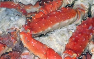 Extra-_King_Crab